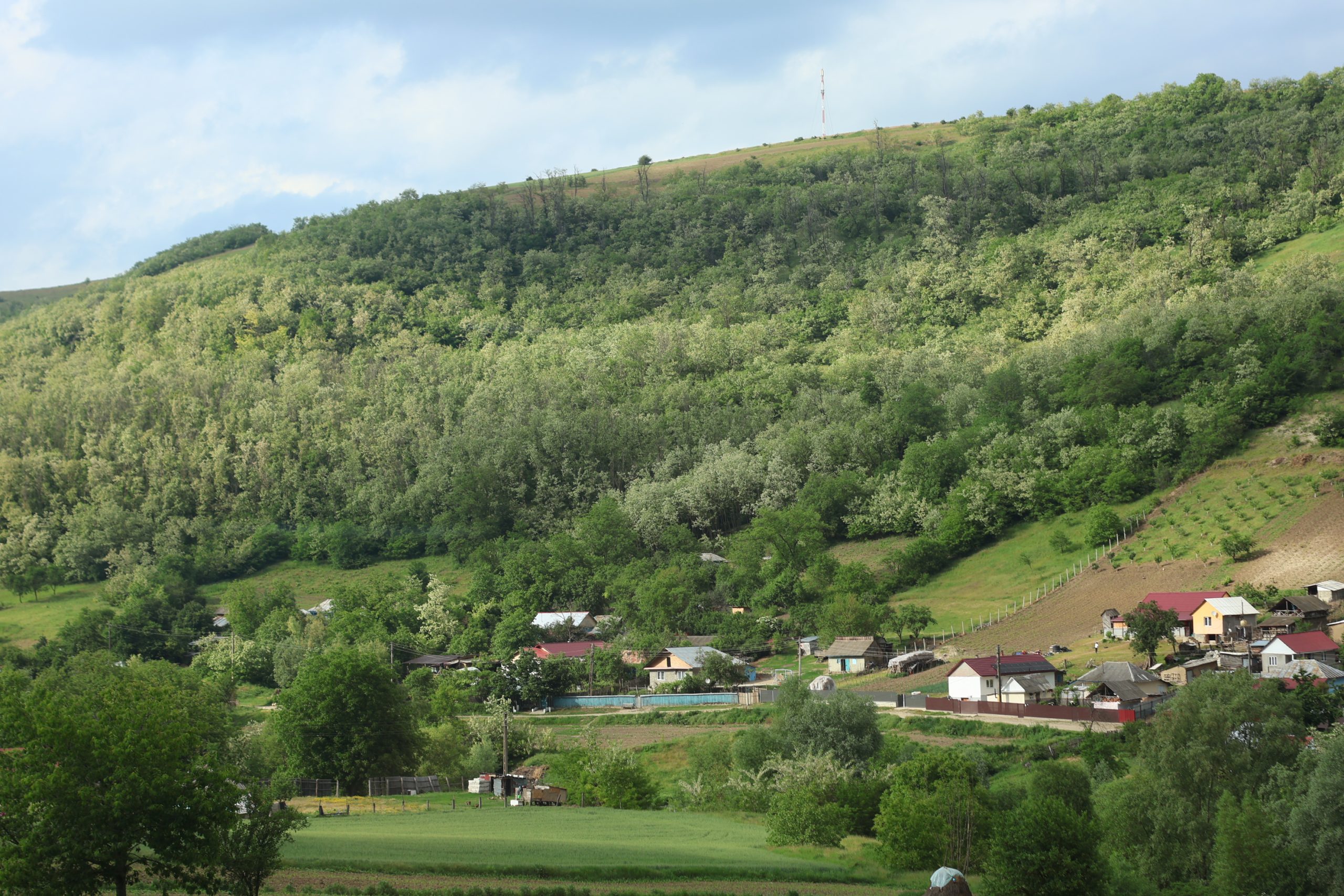 România, cu toate simțurile